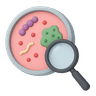 Magnifier